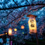 Spring in Japan travel guide showing cherry blossoms in Tokyo